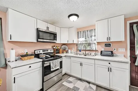25140 NE 133rd Place Salt Springs FL 32134