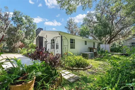 25140 NE 133rd Place Salt Springs FL 32134