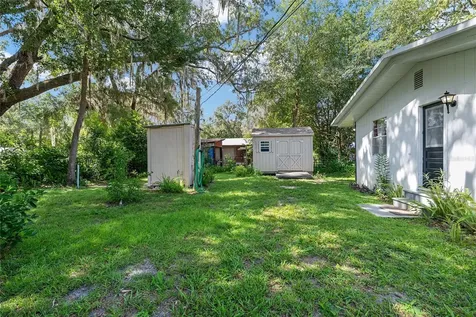 25140 NE 133rd Place Salt Springs FL 32134