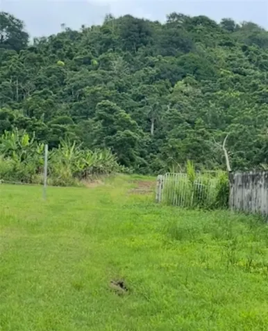 Pr 182 Km 3.3 Yabucoa PR 00767