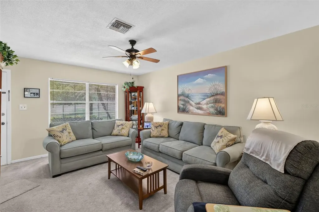 445 S Grandview Street Mount Dora FL 32757