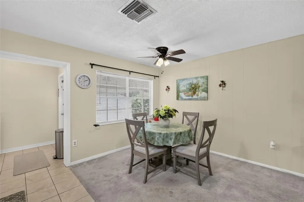 445 S Grandview Street Mount Dora FL 32757