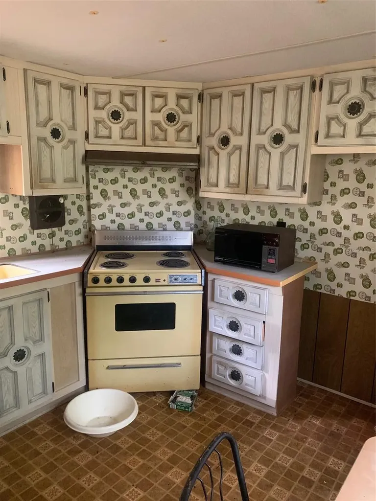 18612 SE 50th Street Ocklawaha FL 32179