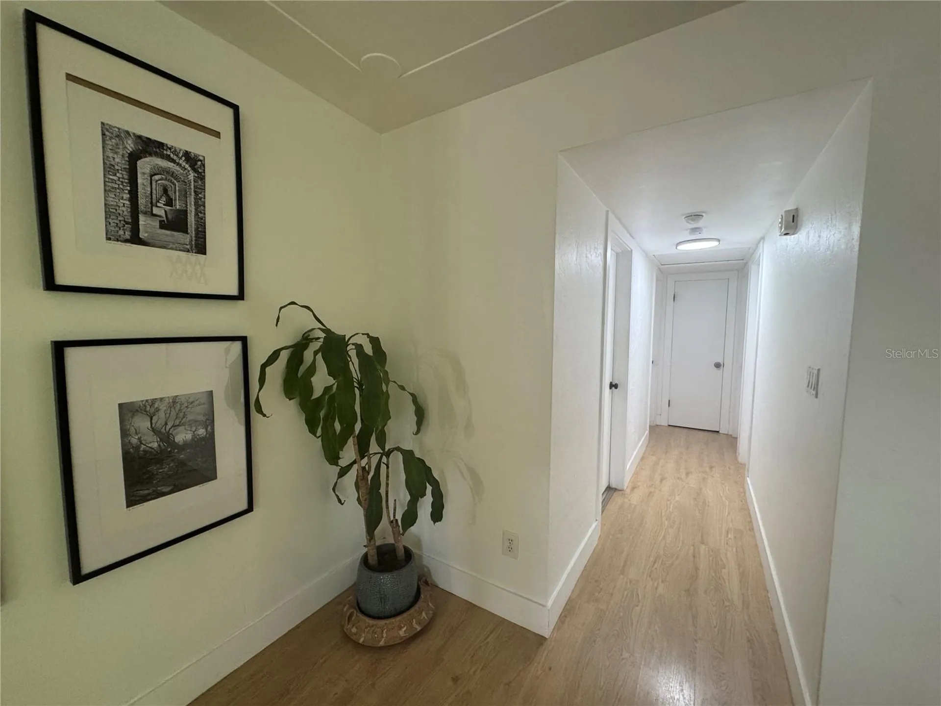 309 Deer Park Avenue Tampa FL 33617