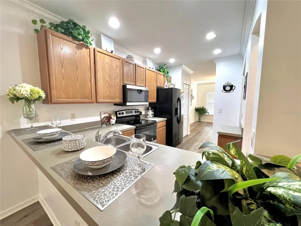 12425 Foxmoor Peak Drive Riverview FL 33579