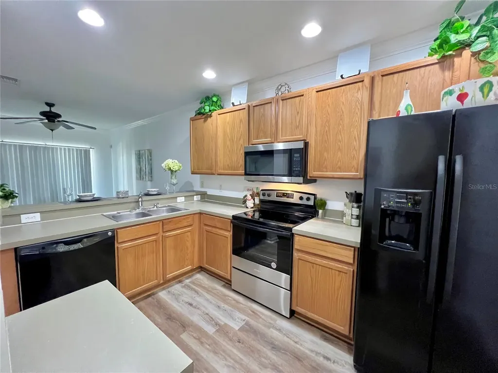 12425 Foxmoor Peak Drive Riverview FL 33579