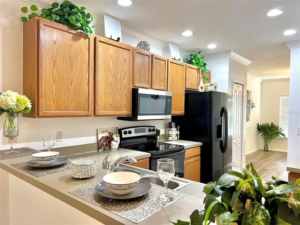 12425 Foxmoor Peak Drive Riverview FL 33579