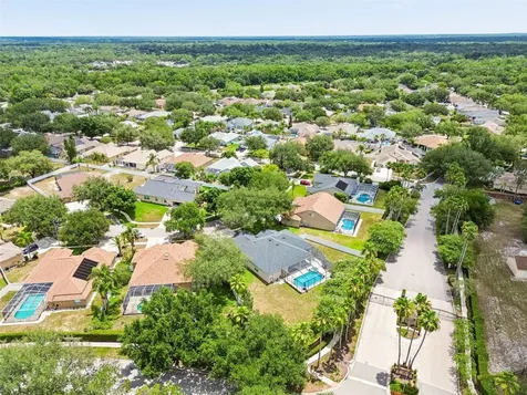 12307 Breton Oak Lane Riverview FL 33569