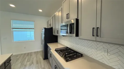 17131 Beachgrass Alley Winter Garden FL 34787