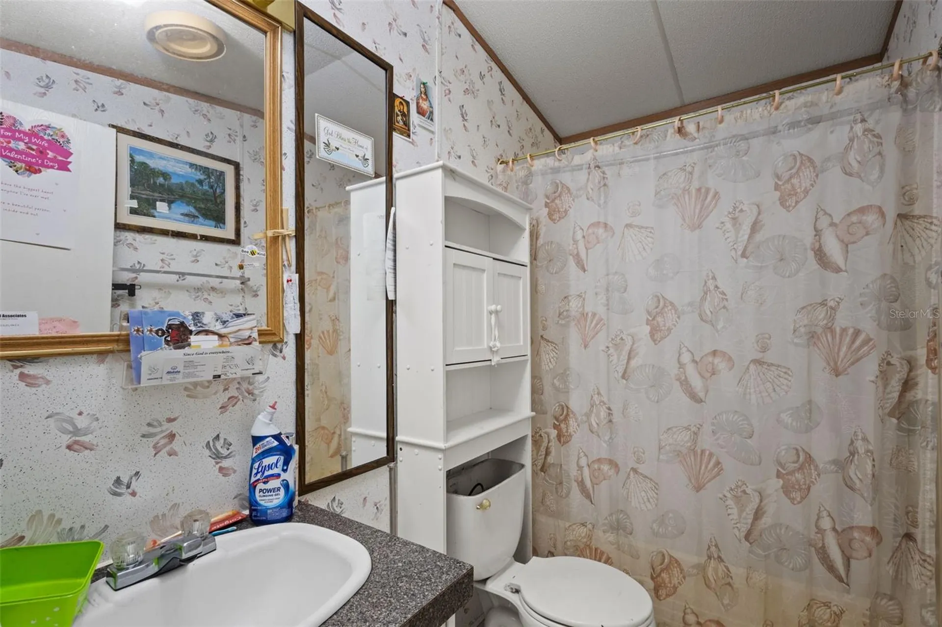 12750 NE 65th Street Williston FL 32696