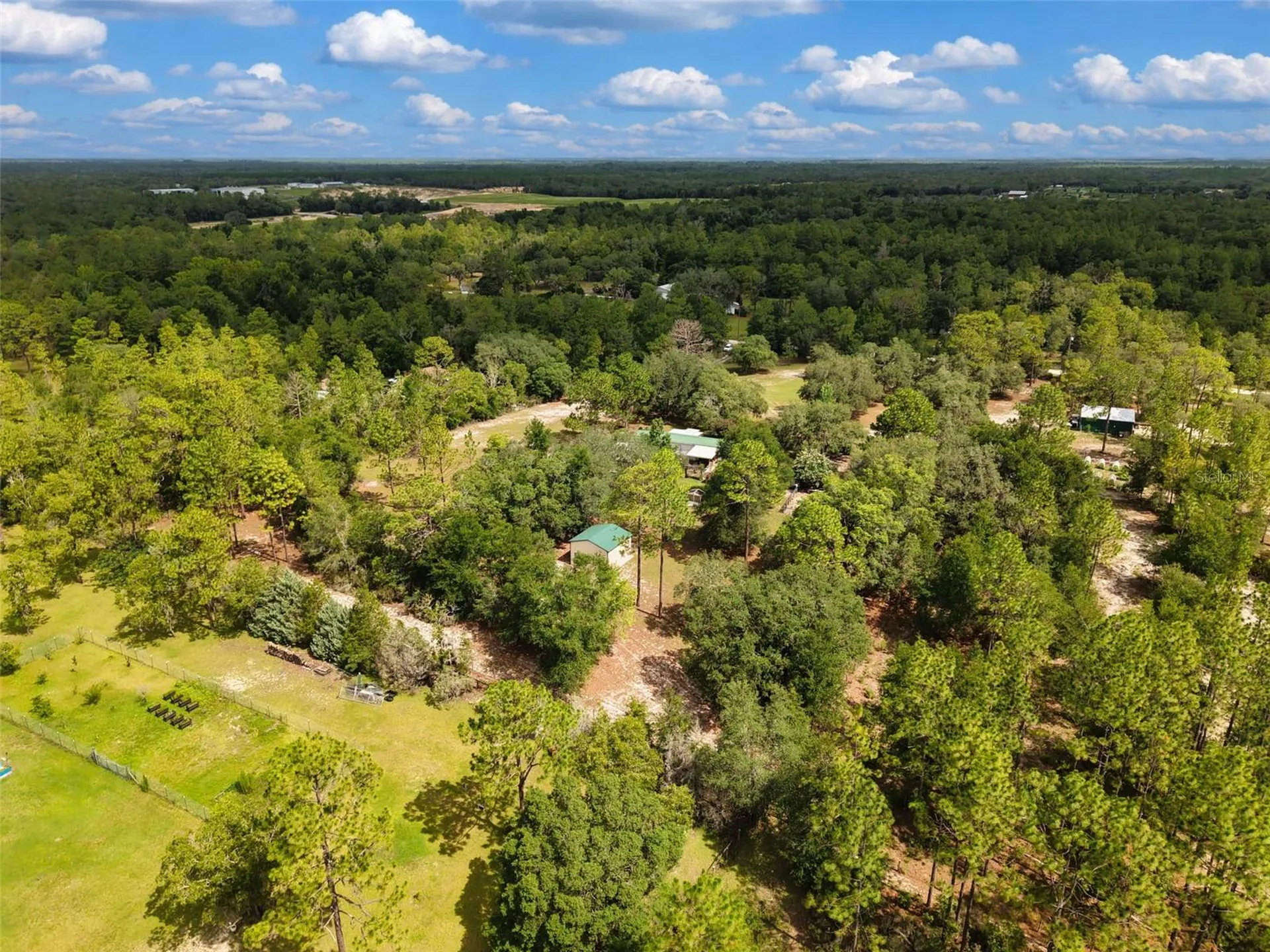 12750 NE 65th Street Williston FL 32696