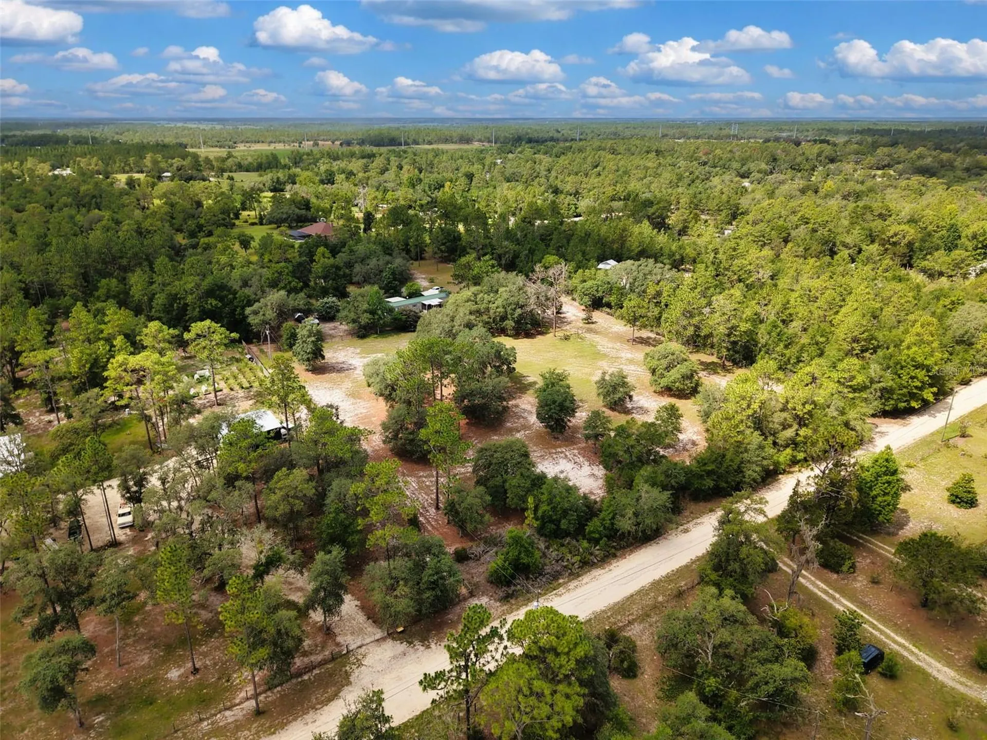 12750 NE 65th Street Williston FL 32696
