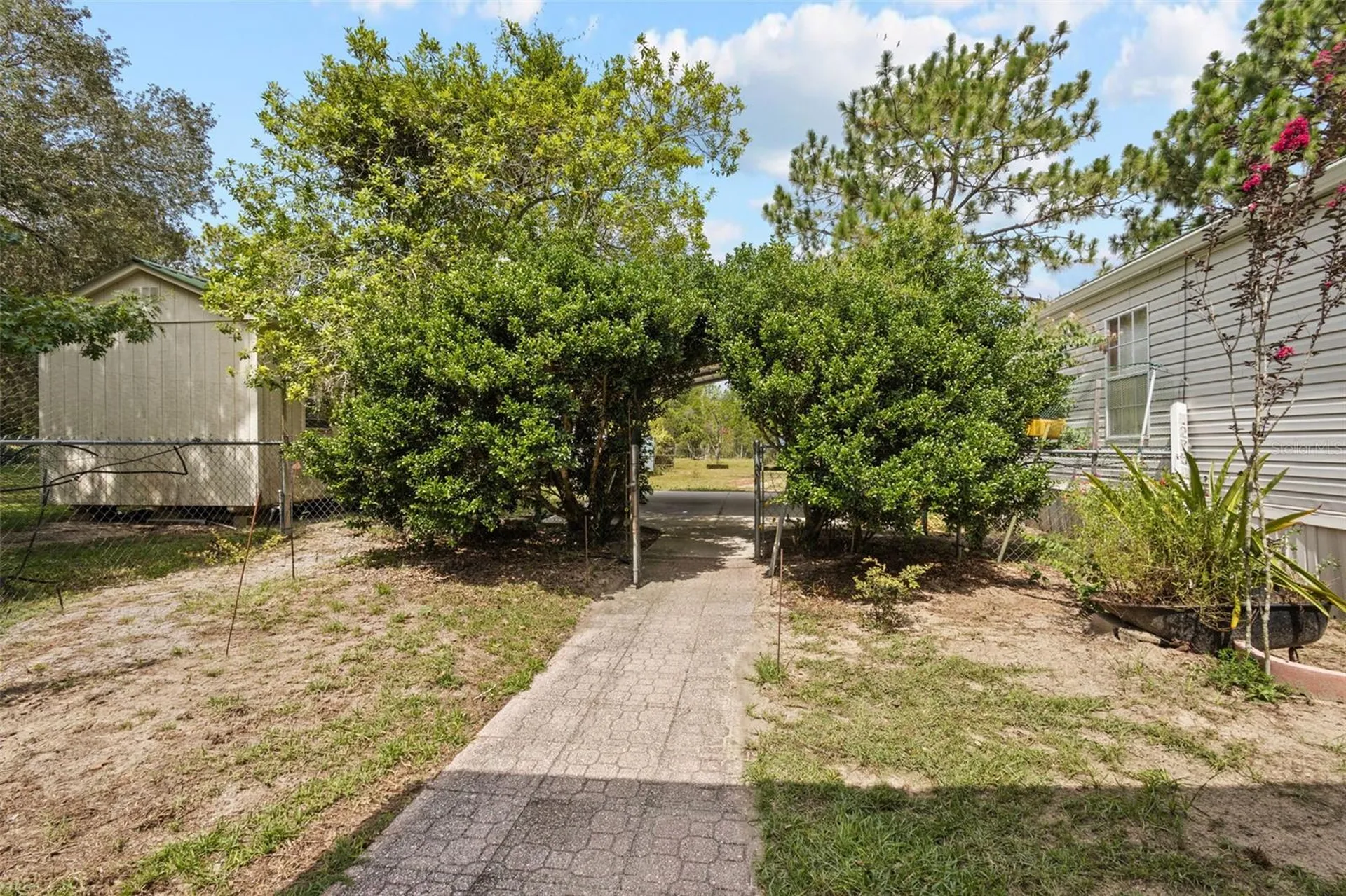12750 NE 65th Street Williston FL 32696