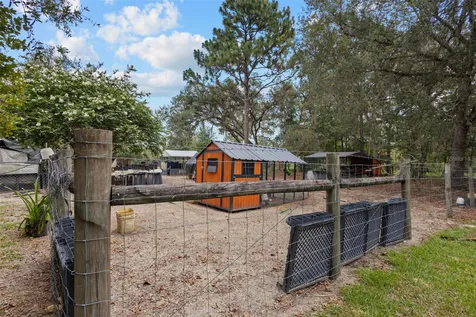 12750 NE 65th Street Williston FL 32696