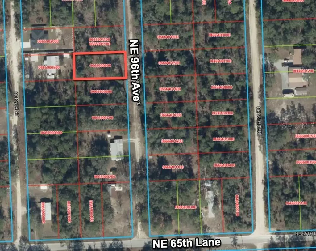 6628 NE 96 Avenue Bronson FL 32621