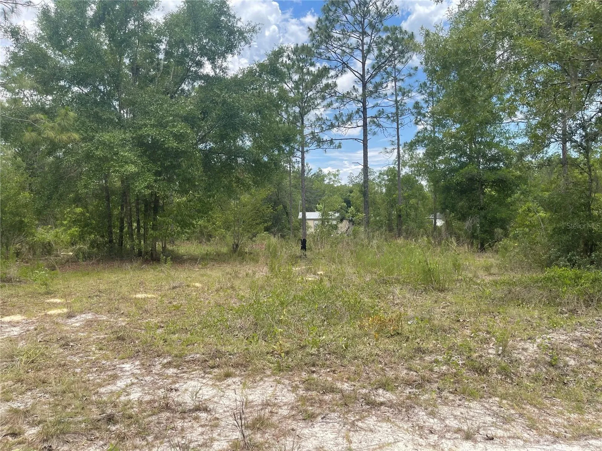 6628 NE 96 Avenue Bronson FL 32621
