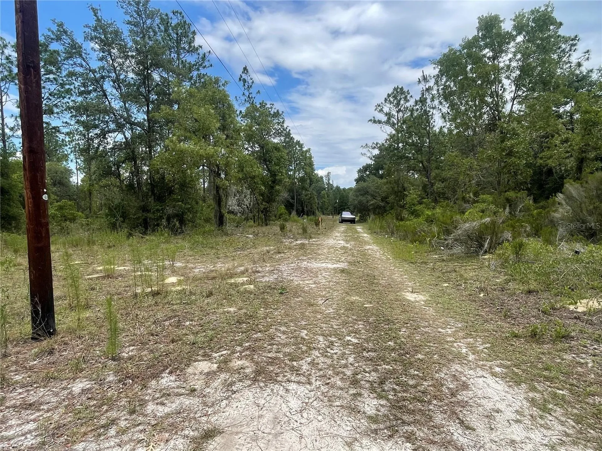 6628 NE 96 Avenue Bronson FL 32621