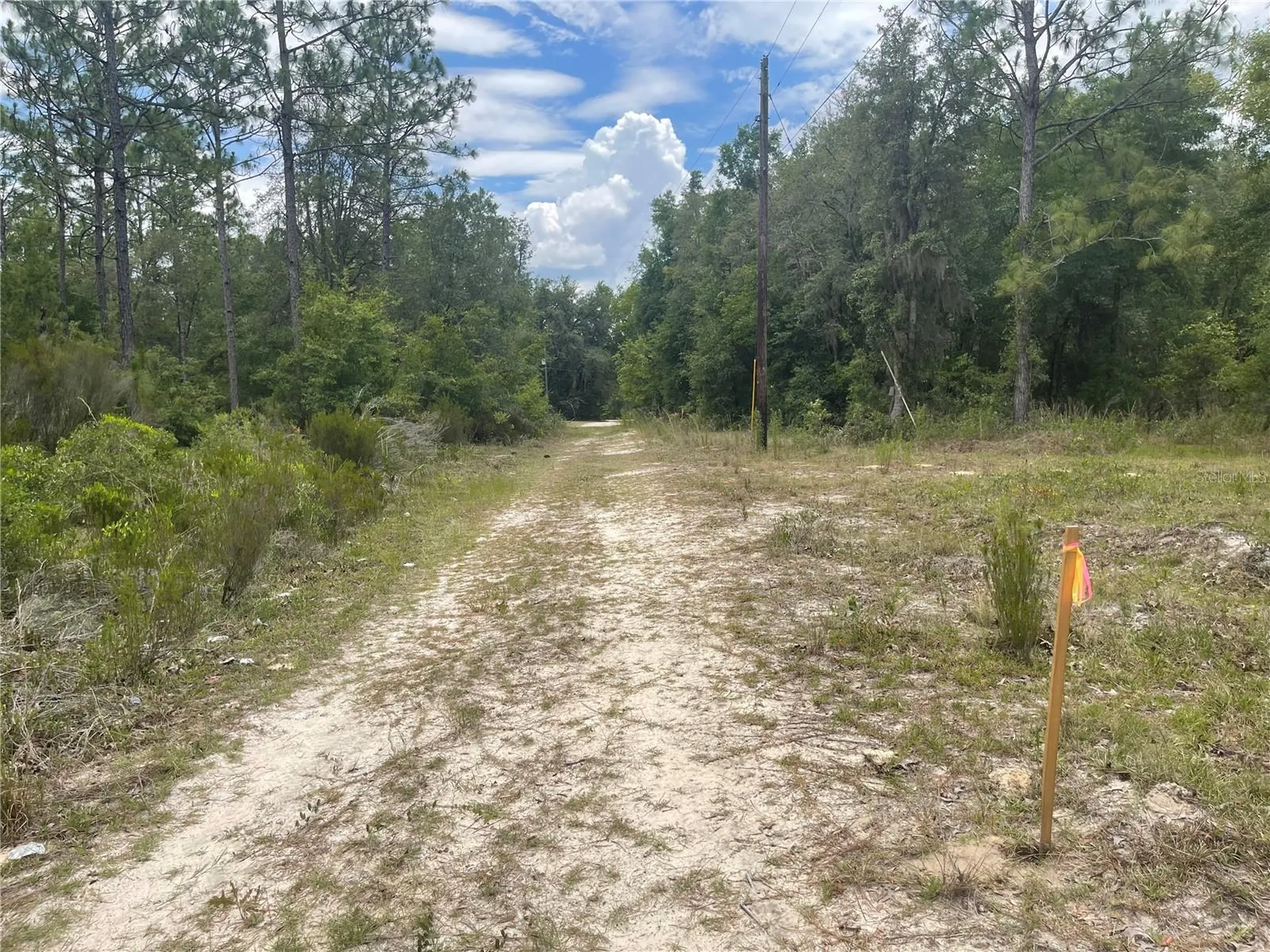 6628 NE 96 Avenue Bronson FL 32621