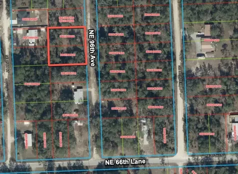 6628 NE 96 Avenue Bronson FL 32621