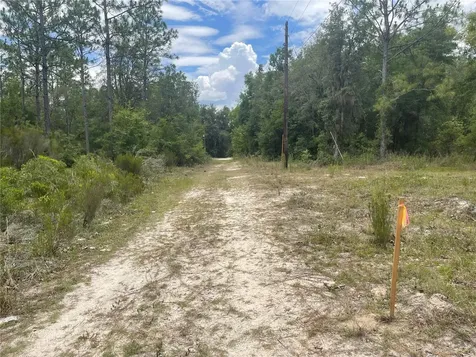 6628 NE 96 Avenue Bronson FL 32621
