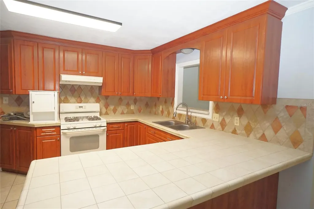 207 N Gomez Avenue Tampa FL 33609