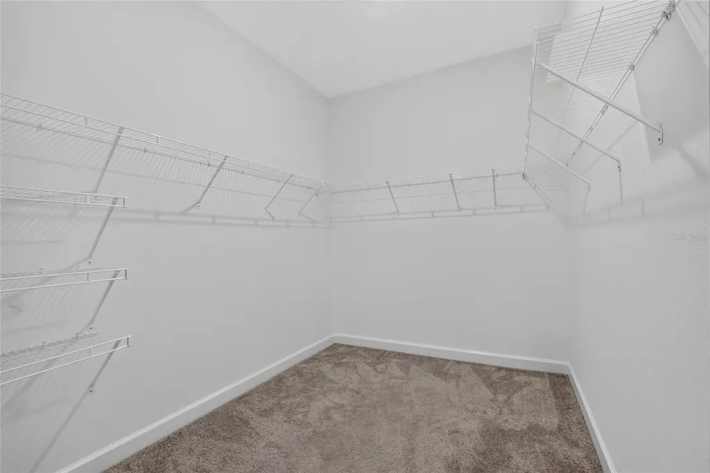 17206 Star Banks Street Wimauma FL 33598