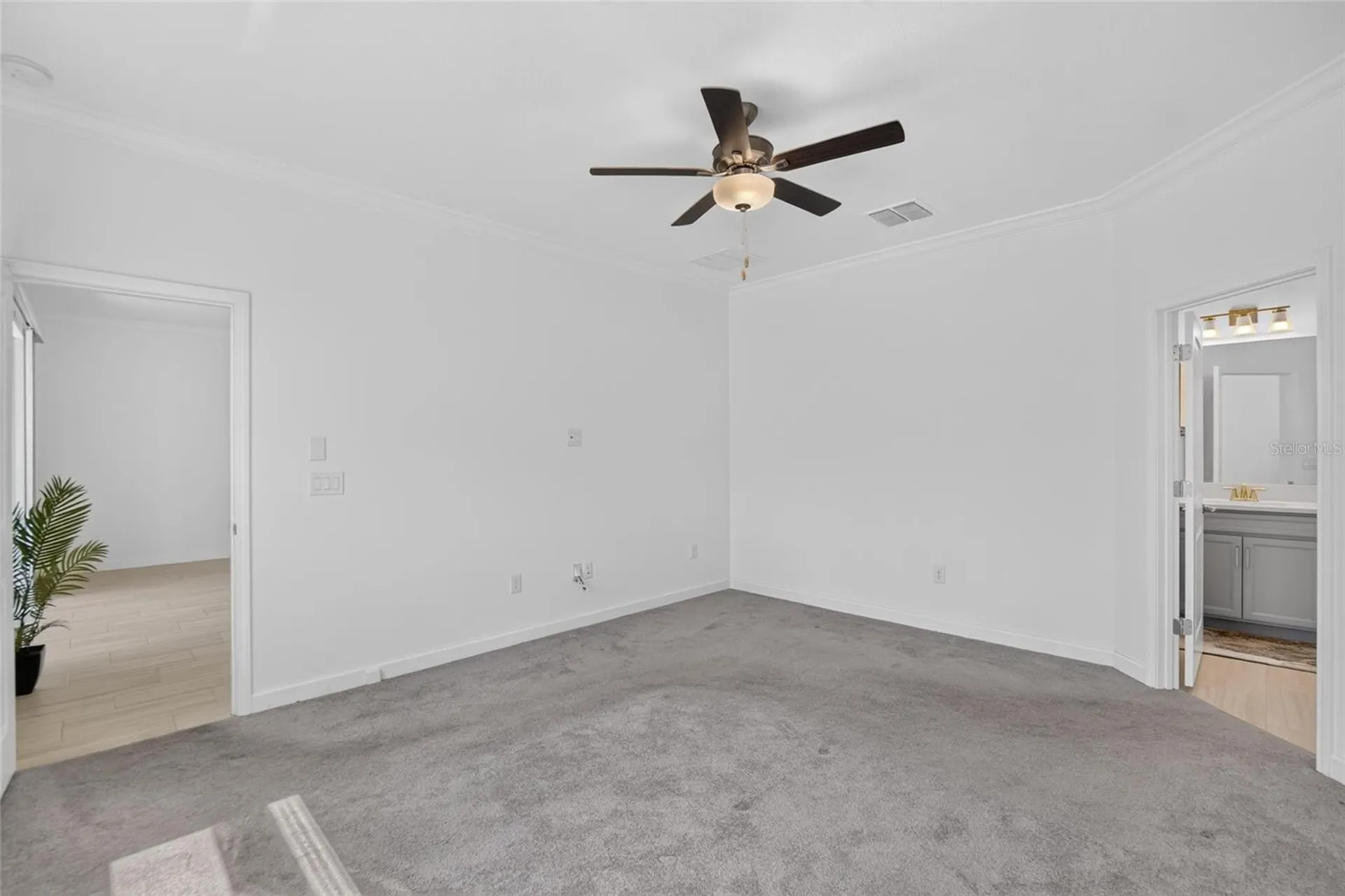 17206 Star Banks Street Wimauma FL 33598