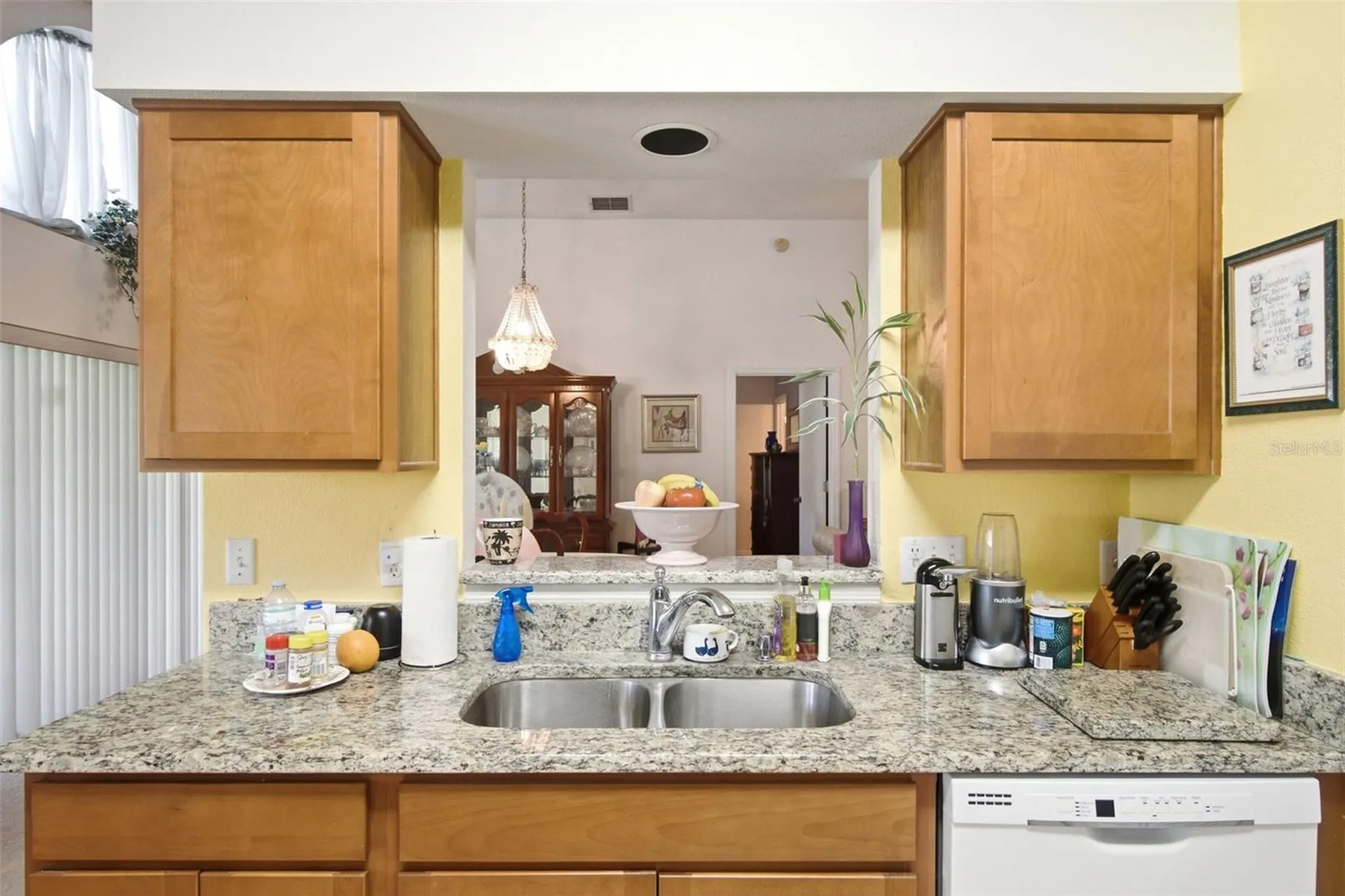 1234 Lake Blue Circle Apopka FL 32703
