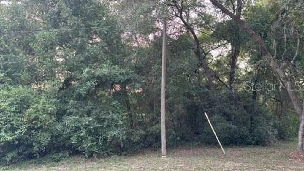 SE 11th Street Silver Springs FL 34488