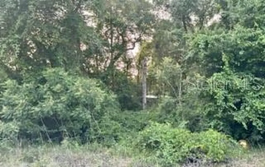 SE 11th Street Silver Springs FL 34488