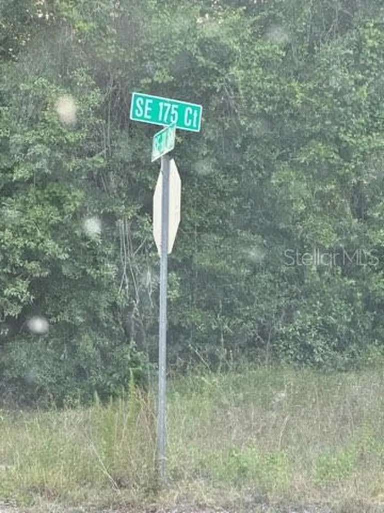 SE 11th Street Silver Springs FL 34488
