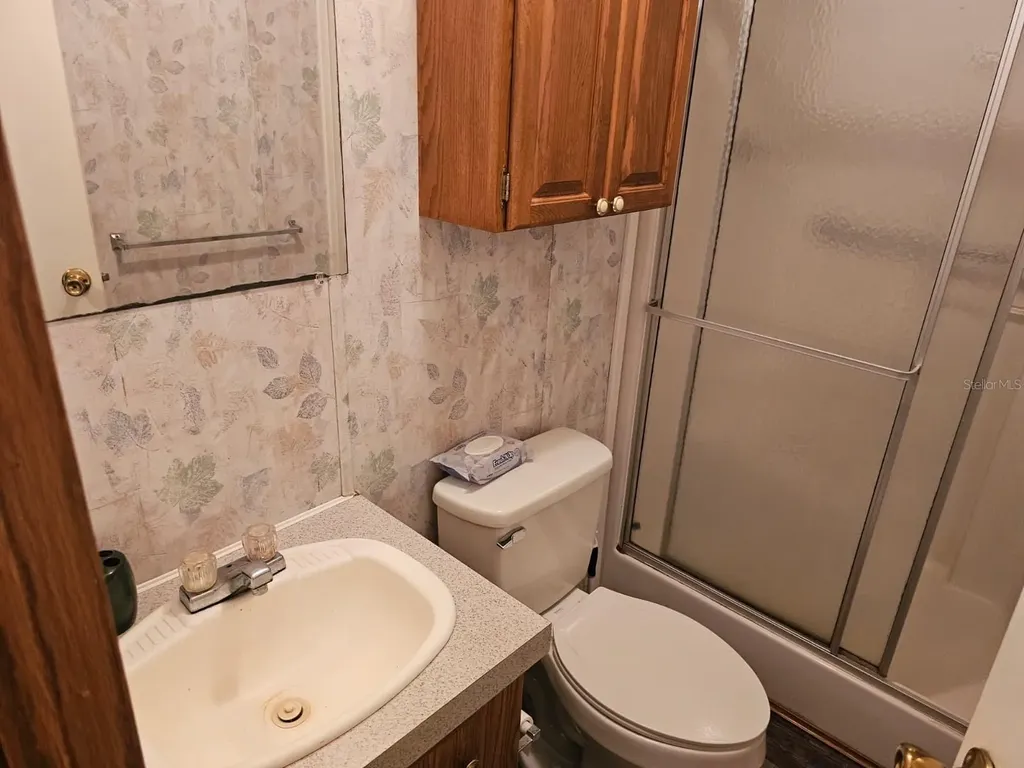 9050 SE 196th Terrace Ocklawaha FL 32179