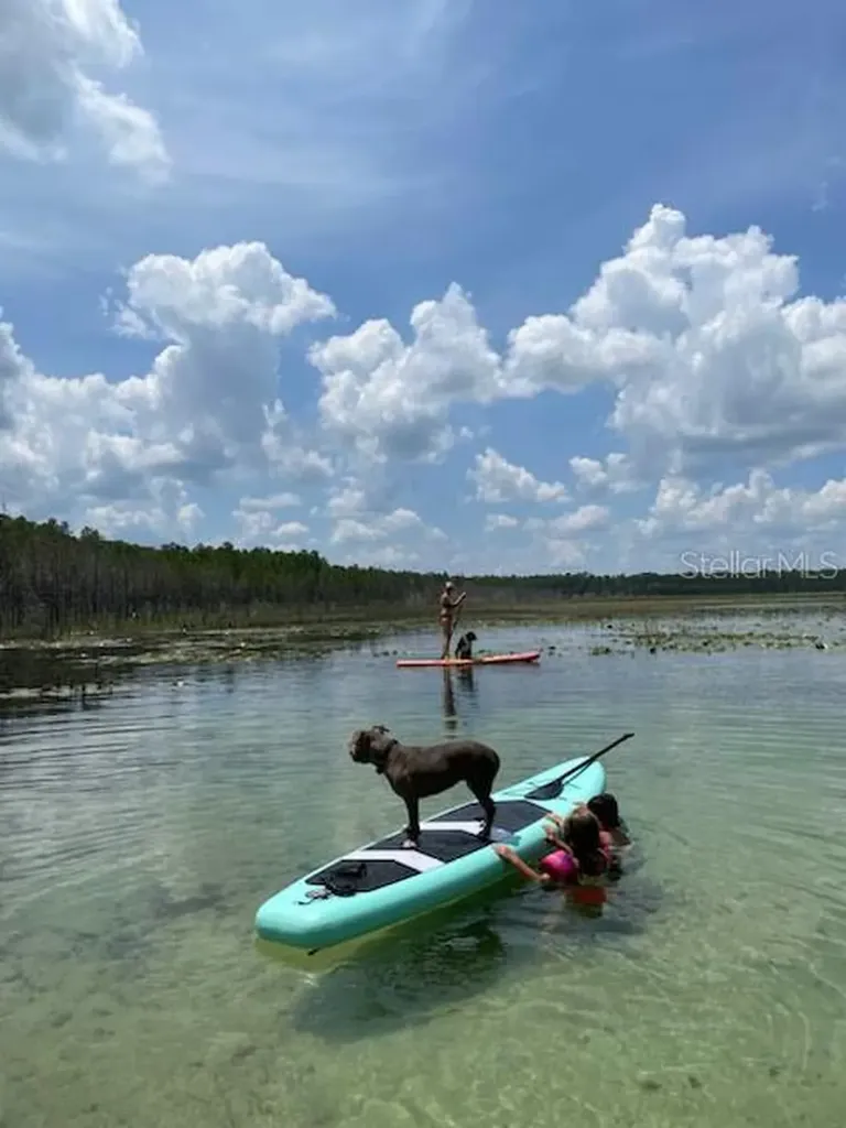 9050 SE 196th Terrace Ocklawaha FL 32179