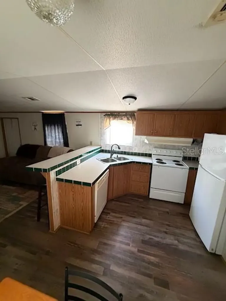 9050 SE 196th Terrace Ocklawaha FL 32179