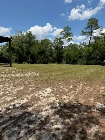 9050 SE 196th Terrace Ocklawaha FL 32179