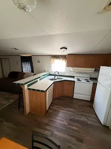 9050 SE 196th Terrace Ocklawaha FL 32179