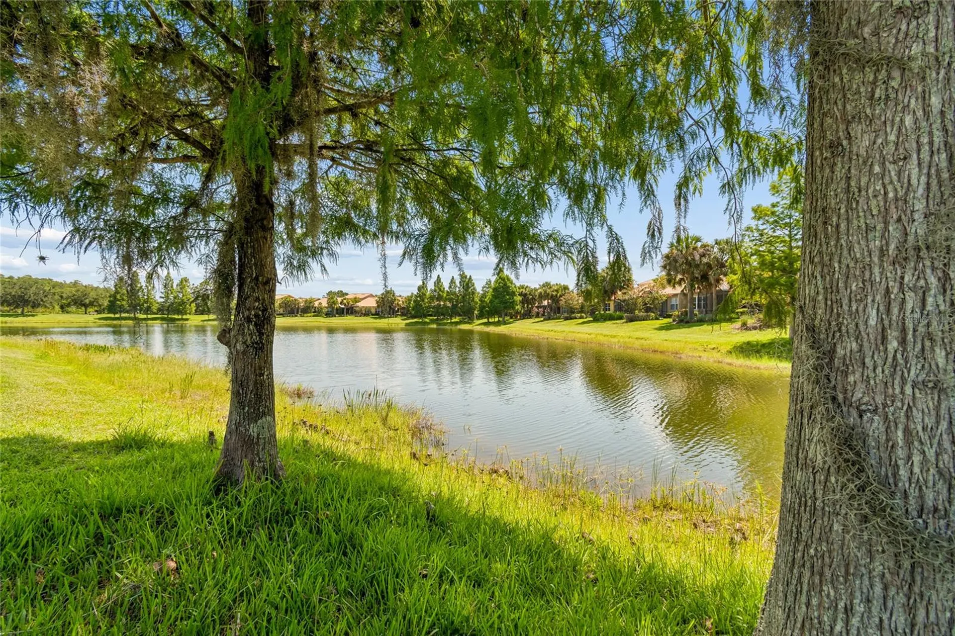 3420 Fallbrook Drive Kissimmee FL 34759