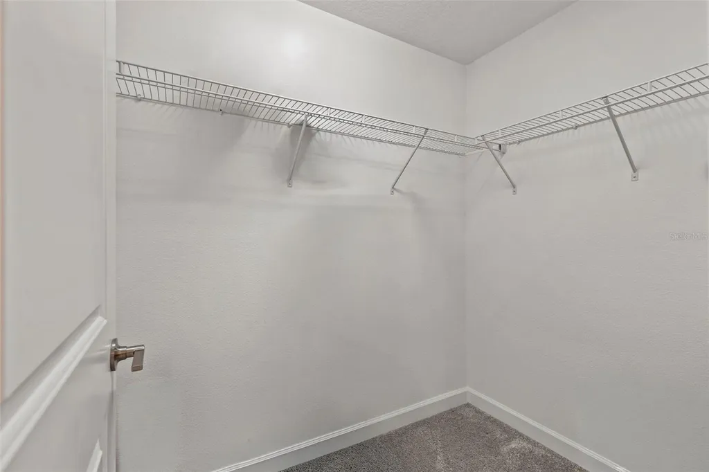 1603 Roseville Street Lutz FL 33549