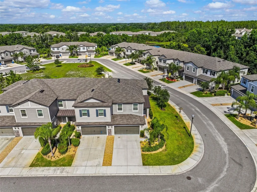 1603 Roseville Street Lutz FL 33549