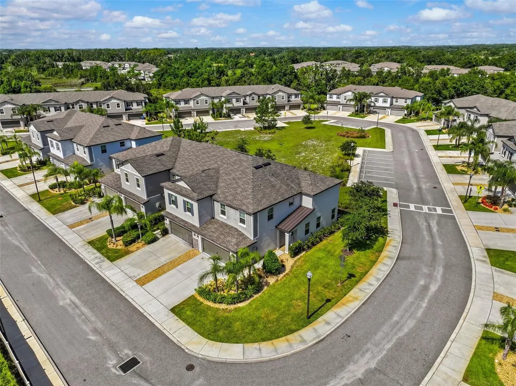 1603 Roseville Street Lutz FL 33549