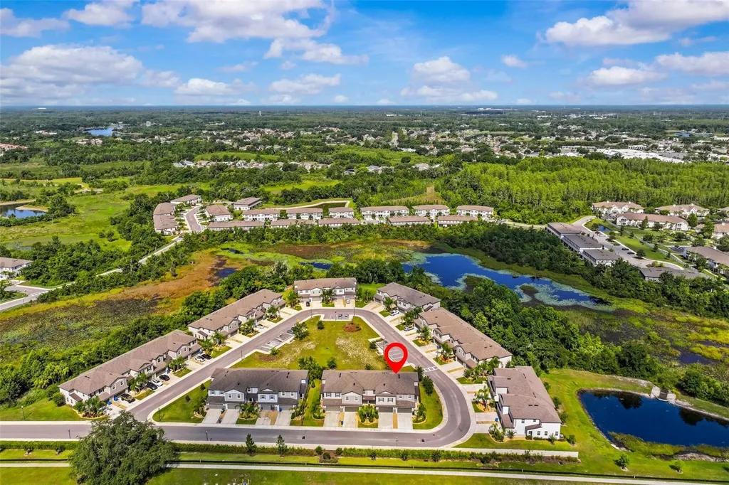 1603 Roseville Street Lutz FL 33549