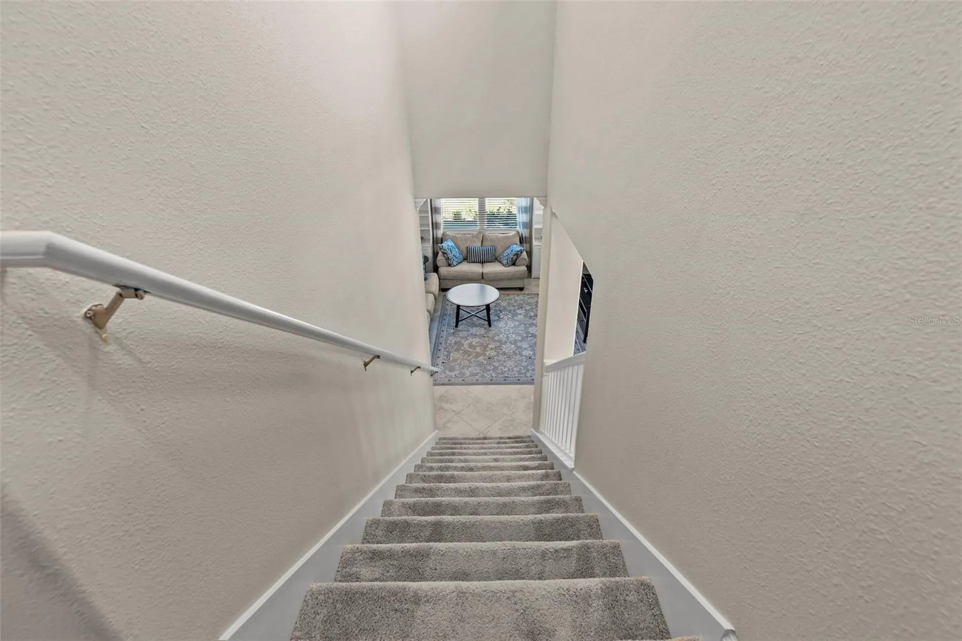 1603 Roseville Street Lutz FL 33549