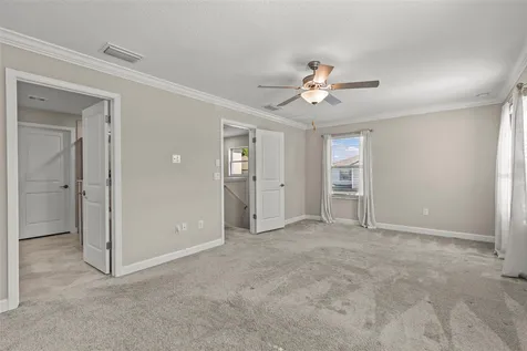 1603 Roseville Street Lutz FL 33549