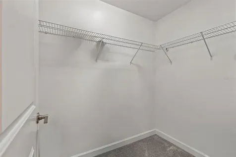 1603 Roseville Street Lutz FL 33549