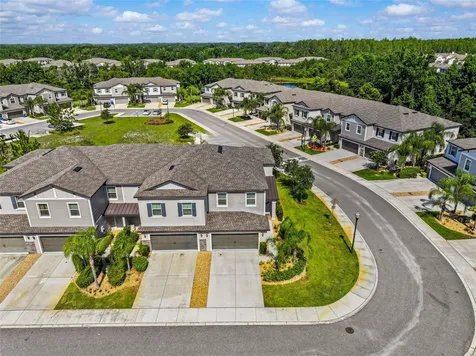 1603 Roseville Street Lutz FL 33549