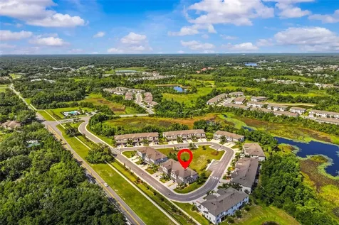 1603 Roseville Street Lutz FL 33549