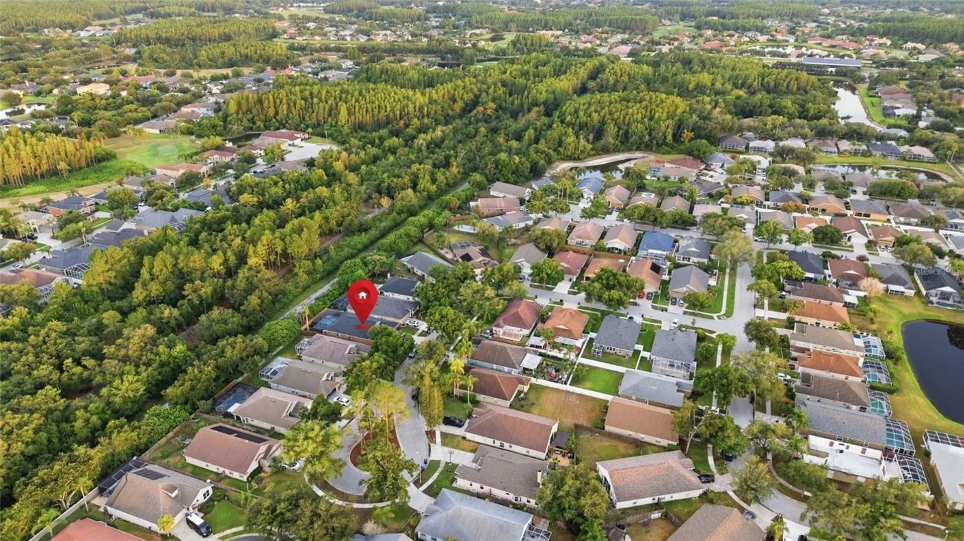 4510 New Dawn Court Lutz FL 33558
