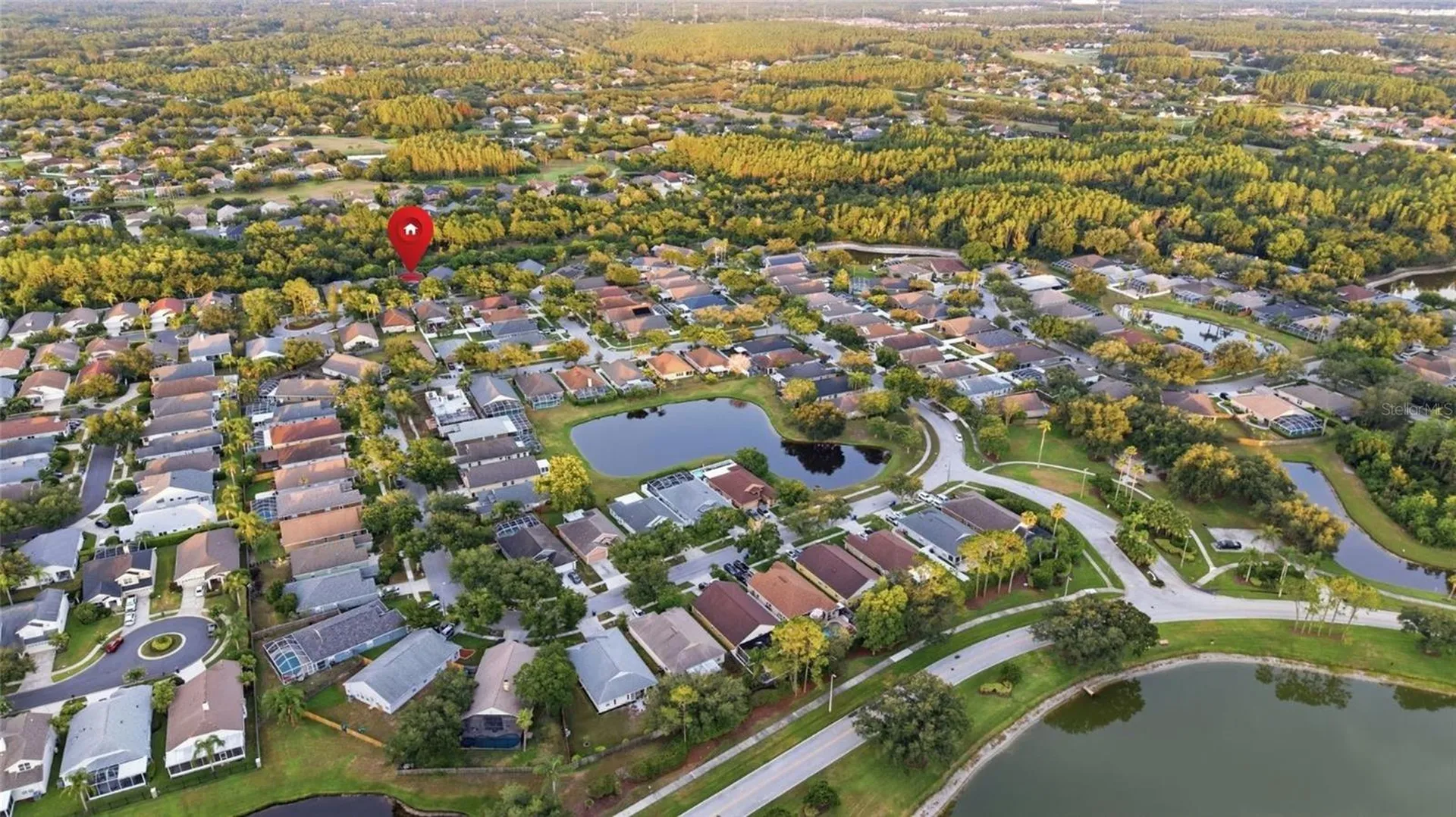 4510 New Dawn Court Lutz FL 33558