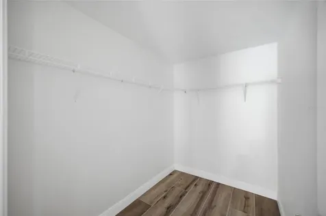 4510 New Dawn Court Lutz FL 33558