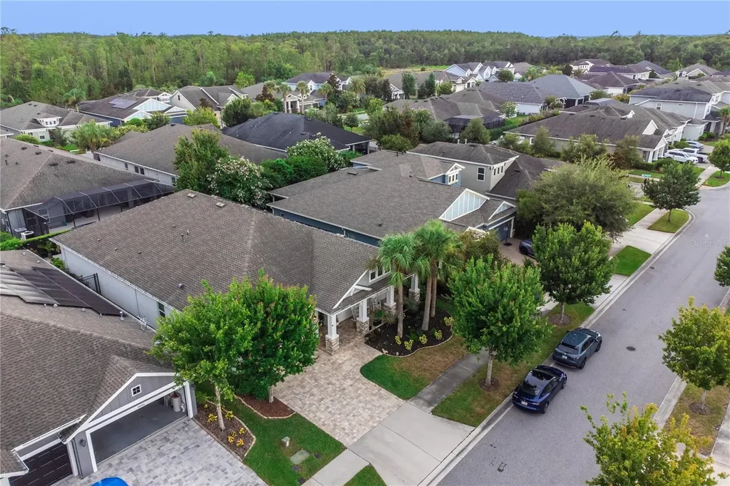 16459 Courtyard Loop Land O Lakes FL 34638
